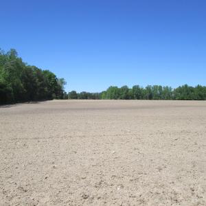 Photo #17 of SOLD property in Off Corinth Chapel Rd, Suffolk, VA 66.0 acres
