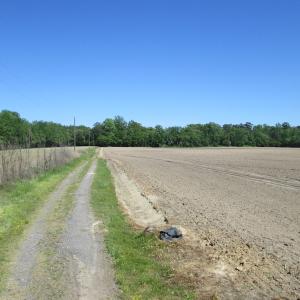 Photo #19 of SOLD property in Off Corinth Chapel Rd, Suffolk, VA 66.0 acres