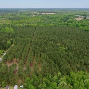 Photo #3 of SOLD property in off Windley Rd, Washington, NC 102.0 acres
