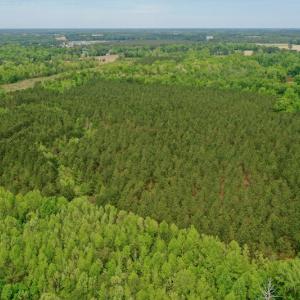 Photo #4 of SOLD property in off Windley Rd, Washington, NC 102.0 acres