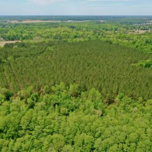 Photo #5 of SOLD property in off Windley Rd, Washington, NC 102.0 acres