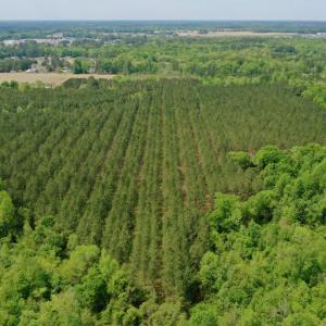 Photo #6 of SOLD property in off Windley Rd, Washington, NC 102.0 acres