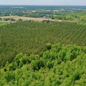 Photo #7 of SOLD property in off Windley Rd, Washington, NC 102.0 acres