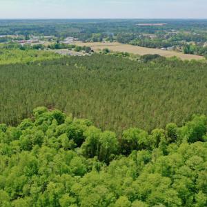 Photo #8 of SOLD property in off Windley Rd, Washington, NC 102.0 acres