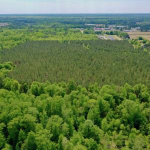 Photo #9 of SOLD property in off Windley Rd, Washington, NC 102.0 acres