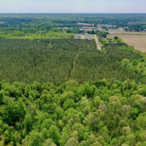 Photo #10 of SOLD property in off Windley Rd, Washington, NC 102.0 acres