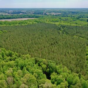 Photo #11 of SOLD property in off Windley Rd, Washington, NC 102.0 acres