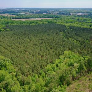Photo #12 of SOLD property in off Windley Rd, Washington, NC 102.0 acres