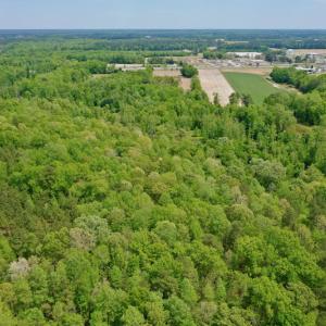 Photo #13 of SOLD property in off Windley Rd, Washington, NC 102.0 acres