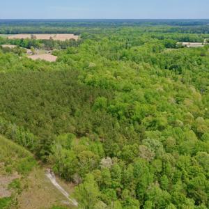 Photo #14 of SOLD property in off Windley Rd, Washington, NC 102.0 acres