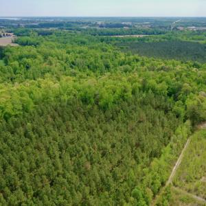 Photo #15 of SOLD property in off Windley Rd, Washington, NC 102.0 acres