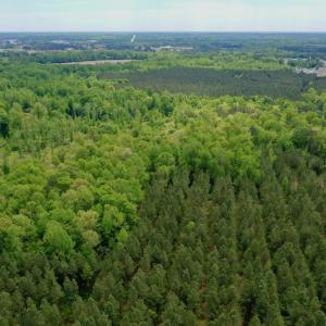 Photo #16 of SOLD property in off Windley Rd, Washington, NC 102.0 acres