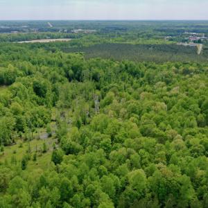 Photo #17 of SOLD property in off Windley Rd, Washington, NC 102.0 acres