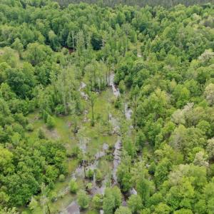 Photo #19 of SOLD property in off Windley Rd, Washington, NC 102.0 acres