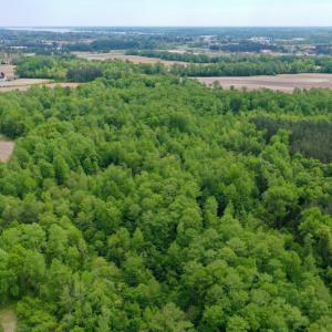 Photo #20 of SOLD property in off Windley Rd, Washington, NC 102.0 acres