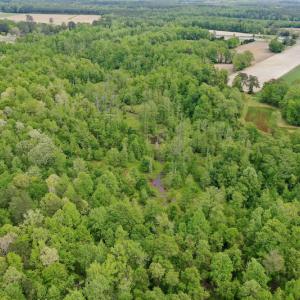 Photo #21 of SOLD property in off Windley Rd, Washington, NC 102.0 acres