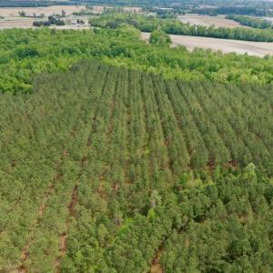 Photo #23 of SOLD property in off Windley Rd, Washington, NC 102.0 acres