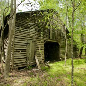 Photo #26 of SOLD property in off Windley Rd, Washington, NC 102.0 acres