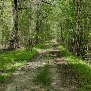 Photo #29 of SOLD property in off Windley Rd, Washington, NC 102.0 acres