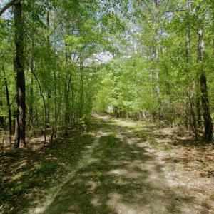 Photo #31 of SOLD property in off Windley Rd, Washington, NC 102.0 acres