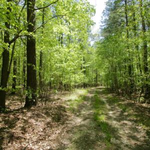 Photo #32 of SOLD property in off Windley Rd, Washington, NC 102.0 acres