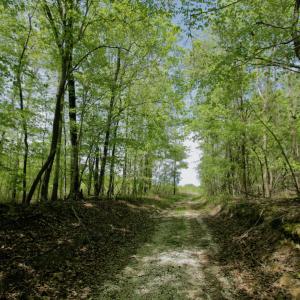 Photo #33 of SOLD property in off Windley Rd, Washington, NC 102.0 acres