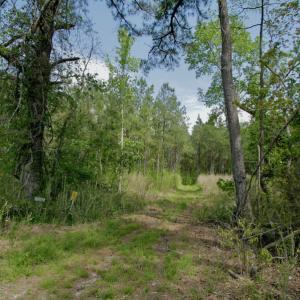 Photo #34 of SOLD property in off Windley Rd, Washington, NC 102.0 acres