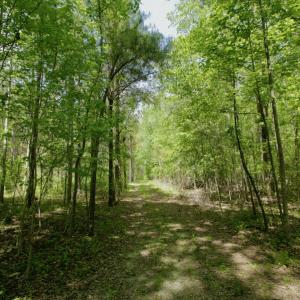 Photo #38 of SOLD property in off Windley Rd, Washington, NC 102.0 acres