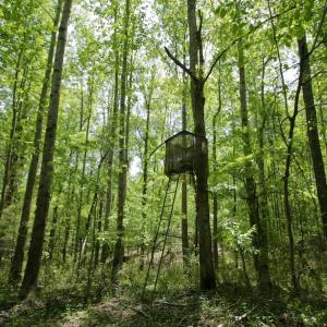 Photo #39 of SOLD property in off Windley Rd, Washington, NC 102.0 acres