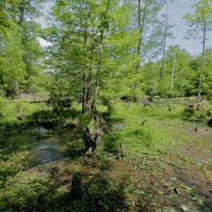 Photo #42 of SOLD property in off Windley Rd, Washington, NC 102.0 acres