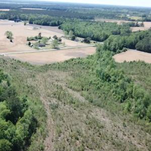 Photo #4 of SOLD property in Off Gates Road, Suffolk, VA 13.0 acres