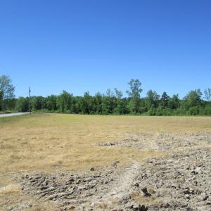 Photo #6 of SOLD property in Off Gates Road, Suffolk, VA 13.0 acres