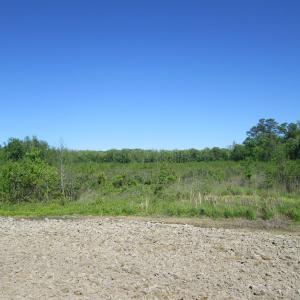 Photo #7 of SOLD property in Off Gates Road, Suffolk, VA 13.0 acres