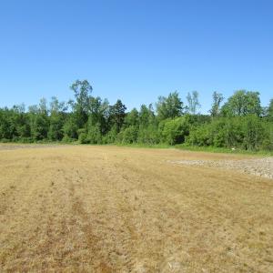 Photo #8 of SOLD property in Off Gates Road, Suffolk, VA 13.0 acres