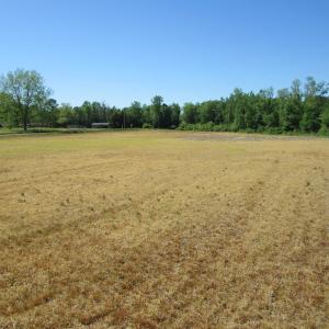 Photo #9 of SOLD property in Off Gates Road, Suffolk, VA 13.0 acres