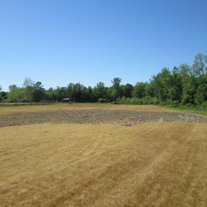 Photo #10 of SOLD property in Off Gates Road, Suffolk, VA 13.0 acres