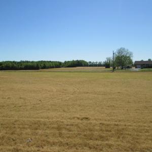 Photo #12 of SOLD property in Off Gates Road, Suffolk, VA 13.0 acres