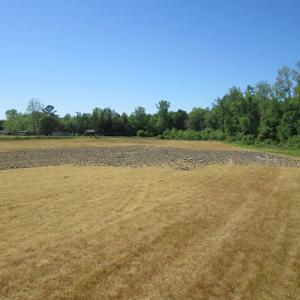Photo #13 of SOLD property in Off Gates Road, Suffolk, VA 13.0 acres