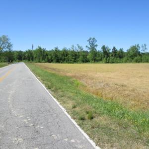 Photo #14 of SOLD property in Off Gates Road, Suffolk, VA 13.0 acres
