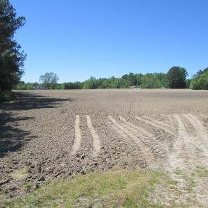Photo #6 of SOLD property in Off Corinth Chapel Road, Suffolk, VA 7.7 acres