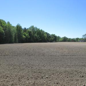 Photo #7 of SOLD property in Off Corinth Chapel Road, Suffolk, VA 7.7 acres