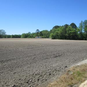 Photo #8 of SOLD property in Off Corinth Chapel Road, Suffolk, VA 7.7 acres