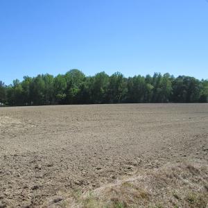 Photo #10 of SOLD property in Off Corinth Chapel Road, Suffolk, VA 7.7 acres
