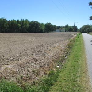 Photo #11 of SOLD property in Off Corinth Chapel Road, Suffolk, VA 7.7 acres