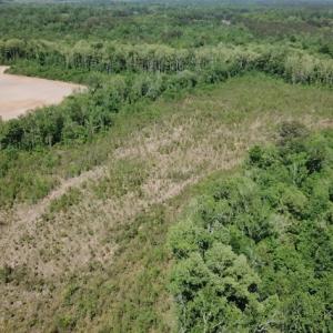 Photo #11 of SOLD property in Off Corinth Chapel Road , Suffolk , VA 47.0 acres