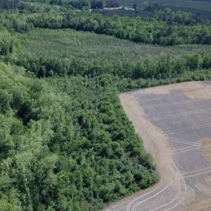 Photo #5 of SOLD property in Off Corinth Chapel Road , Suffolk , VA 47.0 acres