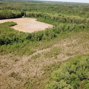 Photo #7 of SOLD property in Off Corinth Chapel Road , Suffolk , VA 47.0 acres