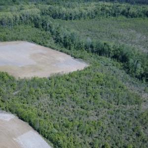 Photo #12 of SOLD property in Off Corinth Chapel Road , Suffolk , VA 47.0 acres