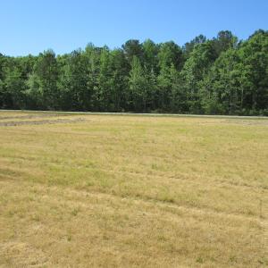Photo #15 of SOLD property in Off Corinth Chapel Road , Suffolk , VA 47.0 acres