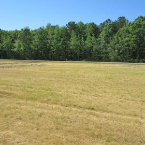 Photo #15 of SOLD property in Off Corinth Chapel Road , Suffolk , VA 47.0 acres